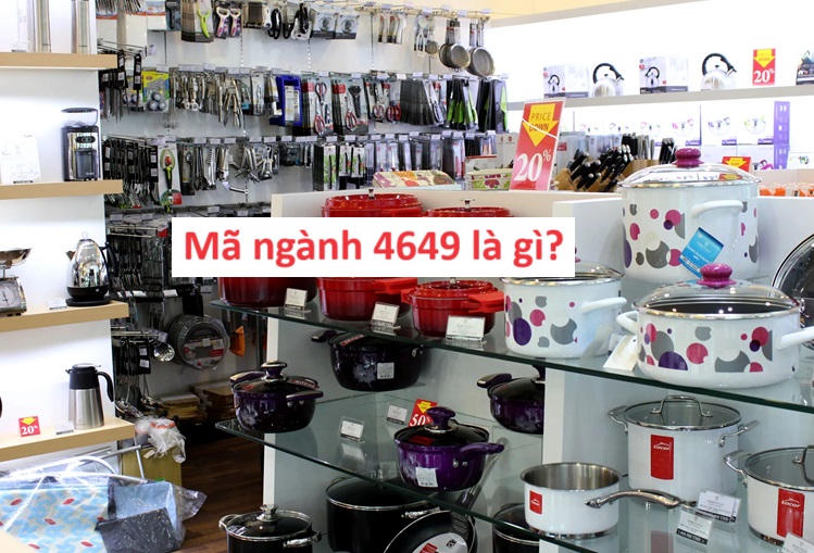 Mã ngành 4649 là gì? Lưu ý khi chọn mã ngành 4649