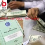 Dịch vụ bảo hiểm xã hội - lao động - tiền lương