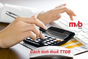 Cách tính thuế tiêu thụ đặc biệt