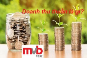 Doanh thu thuần là gì?