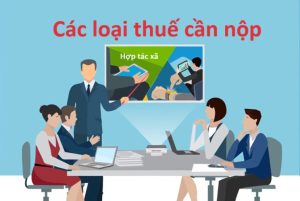 Các loại thuế phải nộp sau khi kinh doanh Hợp tác xã [2024]