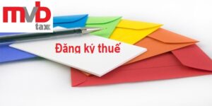 Hồ sơ đăng ký thuế