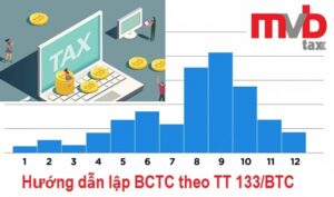 Mẫu hướng dẫn lập BCTC theo TT 133/BTC