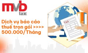 Dịch vụ báo cáo thuế theo Tháng, Quý trọn gói Chỉ từ 500K/tháng
