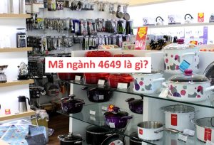 Mã ngành 4649 là gì? Lưu ý khi chọn mã ngành 4649