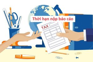 Thời hạn nộp các loại báo cáo thuế năm 2024