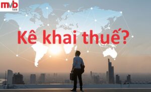 Kê khai thuế cho chi nhánh hạch toán độc lập