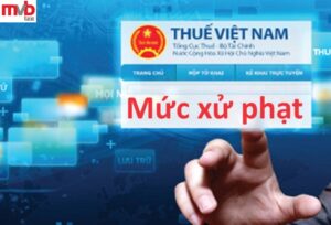 Mức phạt khi công ty không kê khai thuế